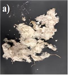 Kavak Lifi İçeren Dokumasız Kumaşın Yalıtım Özelliklerinin İlk Kez Araştırılması